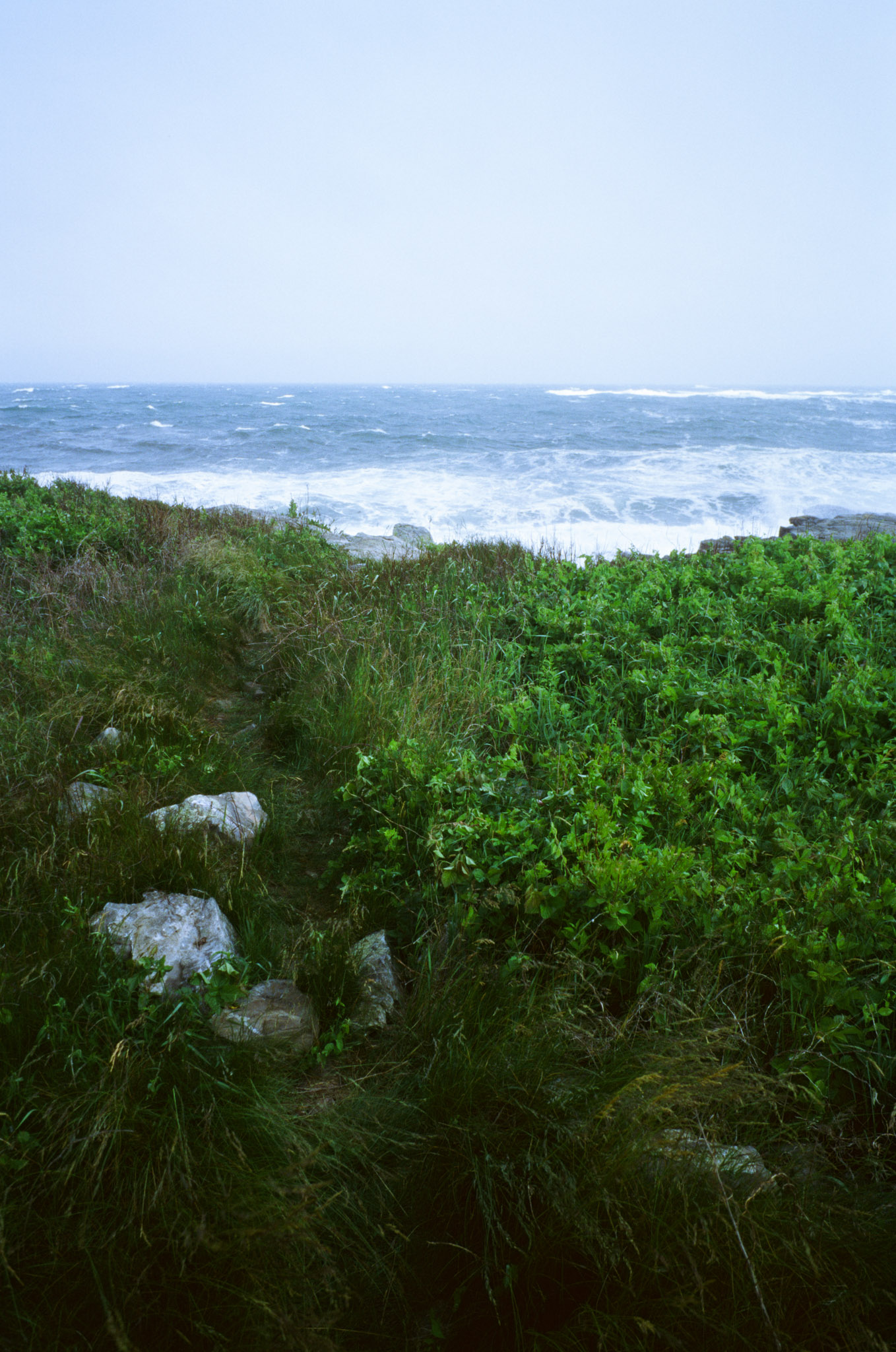 East Point Sanctuary, Biddeford Pool, Maine (2026)